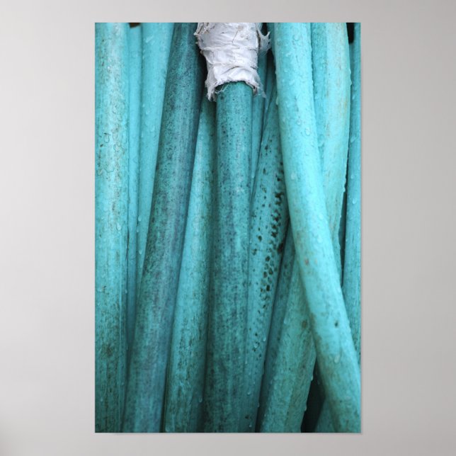 Bandaged Hose Poster (Front)