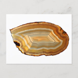 Banded Agate Slice Backlit Photo Postcard