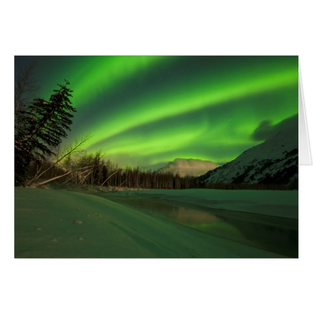 Banded Aurora (Front Horizontal)