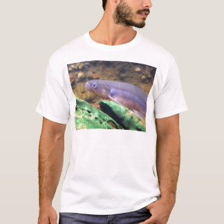 Banded Kokopu T-Shirt