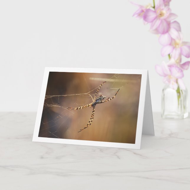 Banded Orbweaver Spider Card (Orchid)