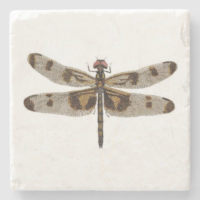 Banded Pennant Dragonfly Coaster (Front)