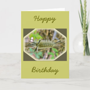 Banded Tussock Moth Caterpillar Card