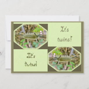 Banded Tussock Moth It's Twins Baby Announcement