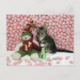 Bandit and the Snowman - Cat / Kitten Christmas Holiday Postcard