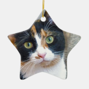 Bandit Ceramic Ornament