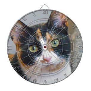 Bandit Dartboard