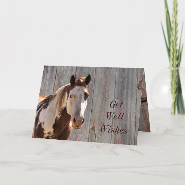 Bandit Get Well Card.. customise it yourself Card (Front)