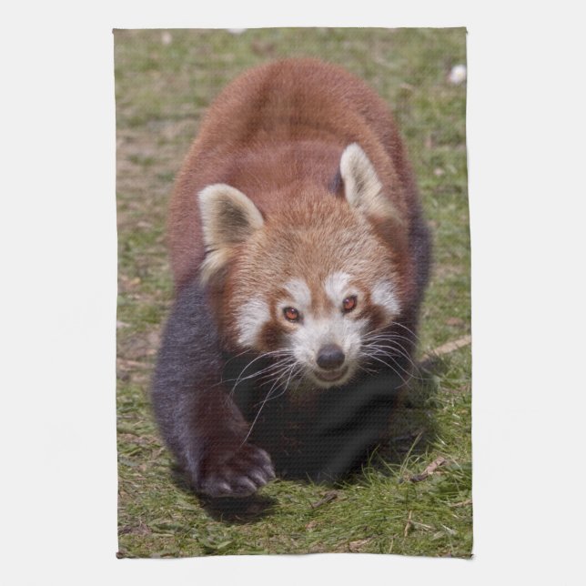 Bandit Kitchen Towel (Vertical)