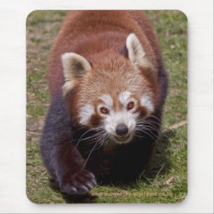 Bandit Mousemat