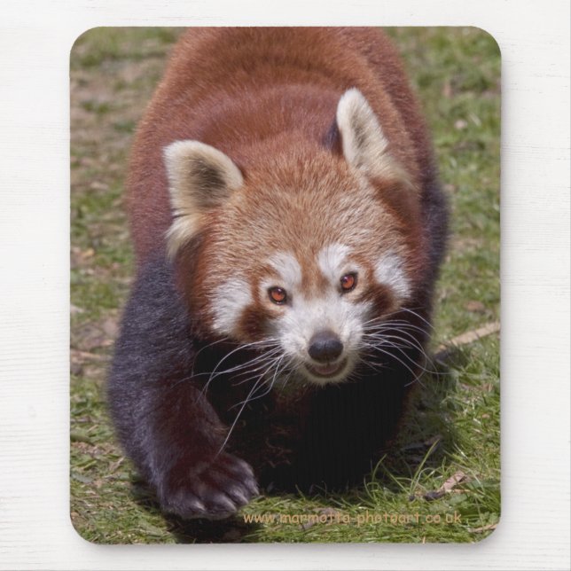 Bandit Mousemat (Front)