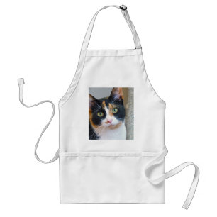 Bandit Standard Apron