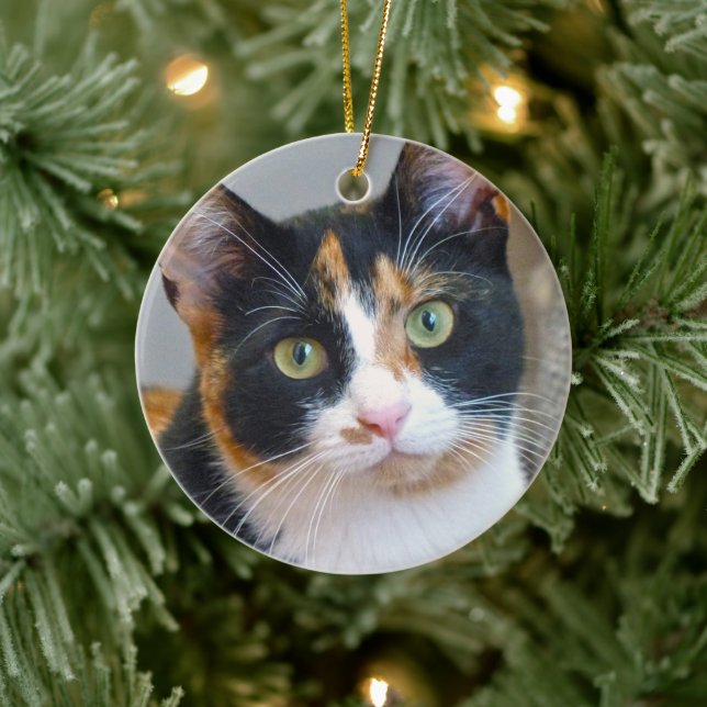 Bandit the Calico Cat Ceramic Ornament (Tree)