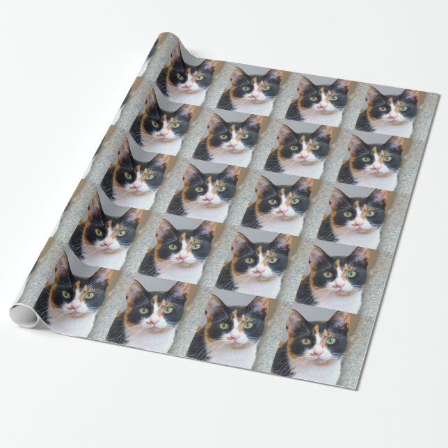 Bandit Wrapping Paper (Unrolled)