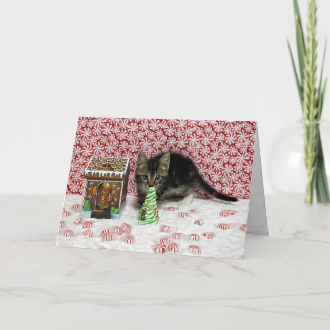 Bandit's Candy Christmas - Cat / Kitten Card (Front)