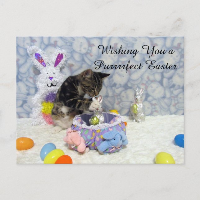 Bandit's Easter U.S. Postcard (3420) (Front)