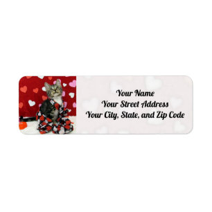 Bandit's Love - Cat / Kitten Address Labels
