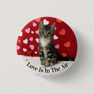 Bandit's Valentine's Day Button - Cute Cat