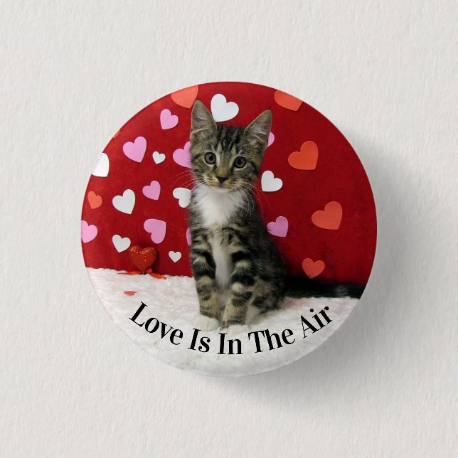 Bandit's Valentine's Day Button - Cute Cat (Front)