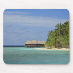 Bandos Island Resort, North Male Atoll, The Mouse Pad