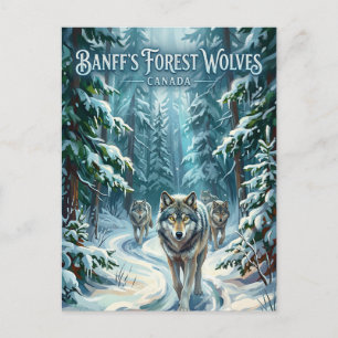 Banff National Park Canada Postcard