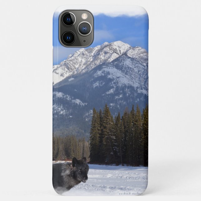 Banff Wolf in Winter with Mt Cascade Case-Mate iPhone Case (Back)