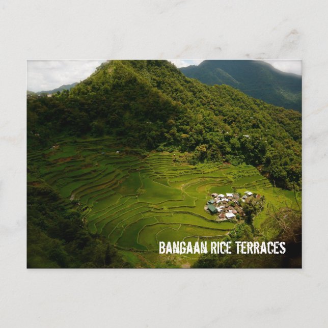 Bangaan Rice Terraces Postcard (Front)