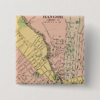 Bangor, Brewer