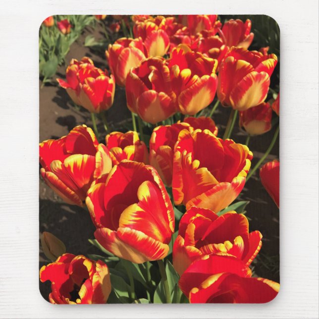 Banja Luka Tulips, Oregon Mouse Pad (Front)