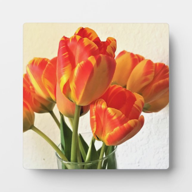 Banja Luka Tulips Plaque (Front)