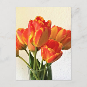 Banja Luka Tulips Postcard