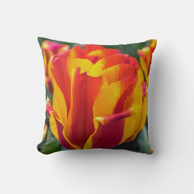 Banja Luka tulips throw cushion (Front)