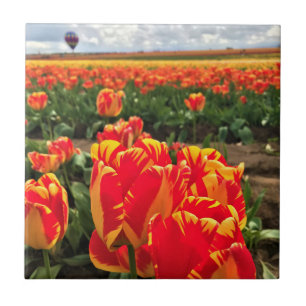 Banja Luka Tulips with Hot Air Balloon Ceramic Tile