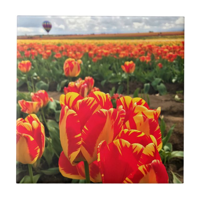 Banja Luka Tulips with Hot Air Balloon Ceramic Tile (Front)