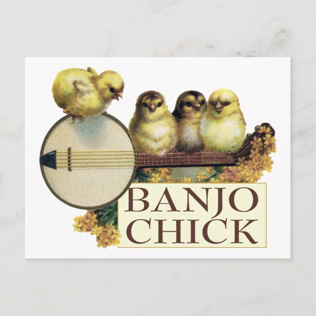 Banjo Chick Postcard (Front)