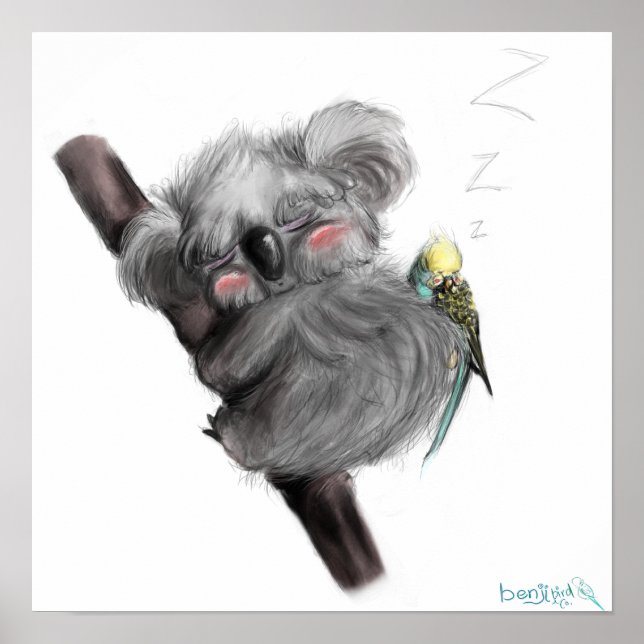 Banjo Koala and Benji Bird Poster (Front)