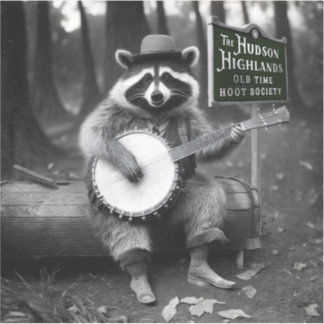 Banjo Racoon
