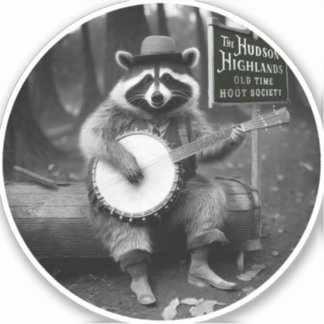 Banjo Racoon