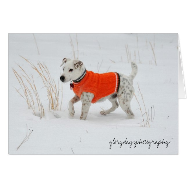 Banjo, Snow Day (Front Horizontal)