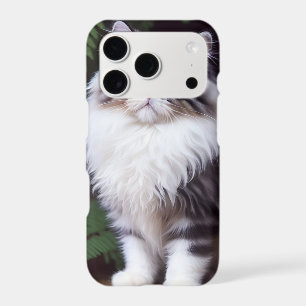 Banjo the Persian: A Fluffy Grey and White Delight