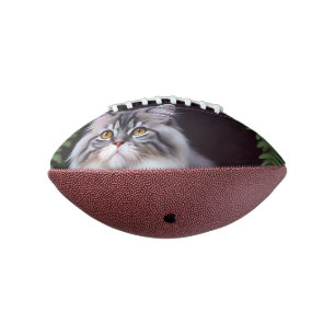 Banjo the Persian: A Fluffy Grey and White Delight Football