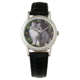 Banjo the Persian: A Fluffy Grey and White Delight Watch