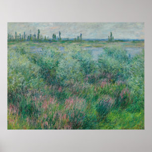 Banks of the Seine near Vétheuil, Monet 1881 Poster