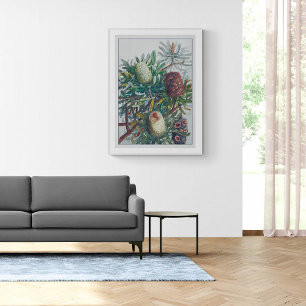 Banksia Flowers   Ellis Rowan 1782 Poster