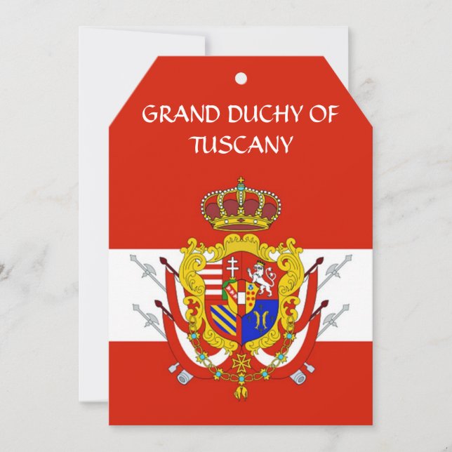 Banner of the Navy Tuscany Medici (Front)