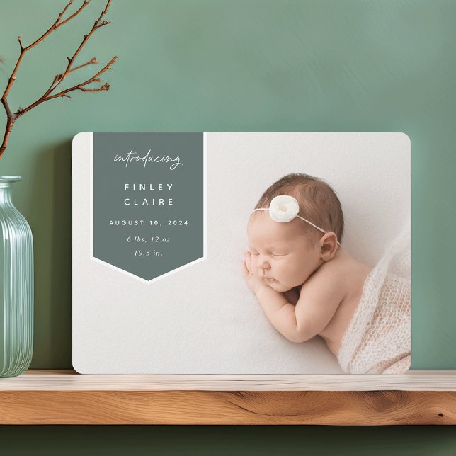 Banner Overlay | Horizontal Photo Birth Announcement (Creator Uploaded)