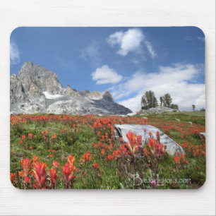 Banner Peak Wildflowers - Ansel Adams Wilderness Mouse Pad