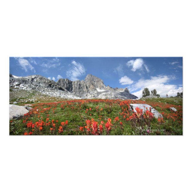 Banner Peak Wildflowers - Ansel Adams Wilderness Photo Print (Front)