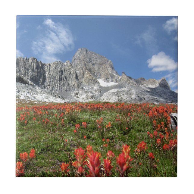 Banner Peak Wildflowers - Ansel Adams Wilderness Tile (Front)