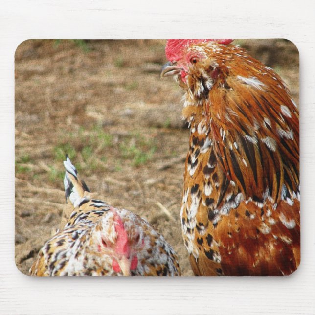 Bantam Hen and Rooster Mouse Pad (Front)